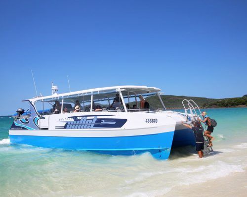 whitehaven beach afternoon tour